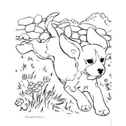ぬりえページ: 犬 (動物) #3129 - 無料の印刷可能なぬりえページ