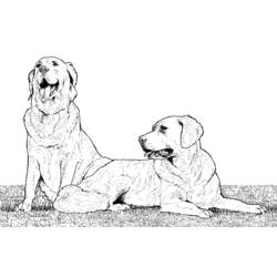 ぬりえページ: 犬 (動物) #3134 - 無料の印刷可能なぬりえページ