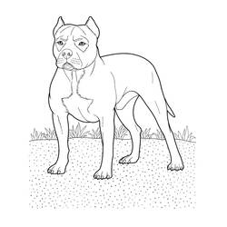 ぬりえページ: 犬 (動物) #3138 - 無料の印刷可能なぬりえページ