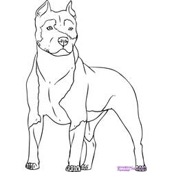 ぬりえページ: 犬 (動物) #3149 - 無料の印刷可能なぬりえページ