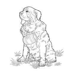 ぬりえページ: 犬 (動物) #3150 - 無料の印刷可能なぬりえページ