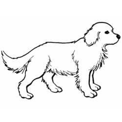 ぬりえページ: 犬 (動物) #3158 - 無料の印刷可能なぬりえページ