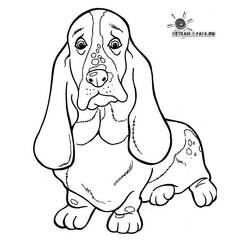 ぬりえページ: 犬 (動物) #3164 - 無料の印刷可能なぬりえページ
