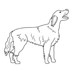 ぬりえページ: 犬 (動物) #3179 - 無料の印刷可能なぬりえページ