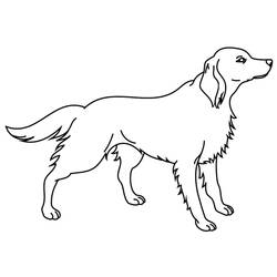 ぬりえページ: 犬 (動物) #3190 - 無料の印刷可能なぬりえページ