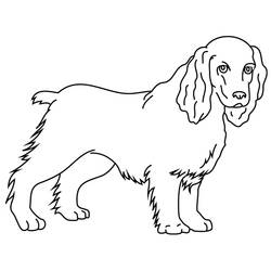 ぬりえページ: 犬 (動物) #3213 - 無料の印刷可能なぬりえページ