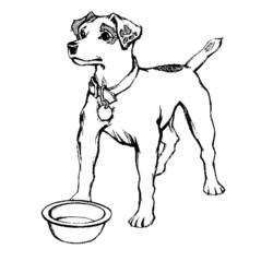 ぬりえページ: 犬 (動物) #4 - 無料の印刷可能なぬりえページ