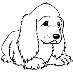 ぬりえページ: 犬 (動物) #6 - 無料の印刷可能なぬりえページ