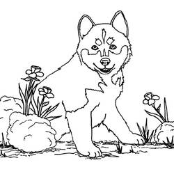 ぬりえページ: 犬 (動物) #61 - 無料の印刷可能なぬりえページ