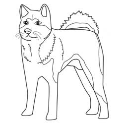 ぬりえページ: 犬 (動物) #62 - 無料の印刷可能なぬりえページ