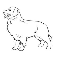 ぬりえページ: 犬 (動物) #7 - 無料の印刷可能なぬりえページ