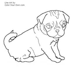 ぬりえページ: 犬 (動物) #70 - 無料の印刷可能なぬりえページ