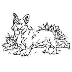 ぬりえページ: 犬 (動物) #73 - 無料の印刷可能なぬりえページ