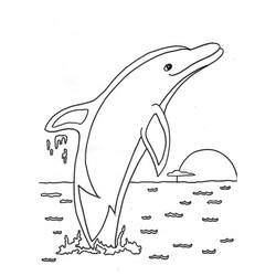 ぬりえページ: イルカ (動物) #5090 - 無料の印刷可能なぬりえページ