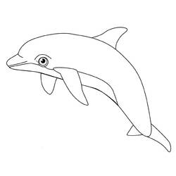 ぬりえページ: イルカ (動物) #5096 - 無料の印刷可能なぬりえページ