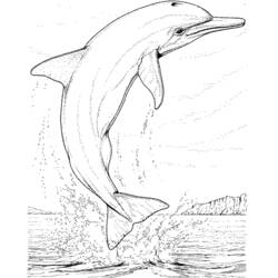 ぬりえページ: イルカ (動物) #5100 - 無料の印刷可能なぬりえページ