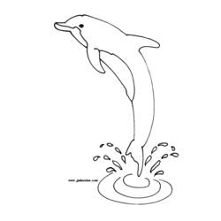 ぬりえページ: イルカ (動物) #5101 - 無料の印刷可能なぬりえページ