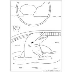 ぬりえページ: イルカ (動物) #5122 - 無料の印刷可能なぬりえページ