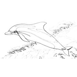 ぬりえページ: イルカ (動物) #5140 - 無料の印刷可能なぬりえページ