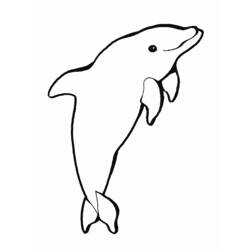 ぬりえページ: イルカ (動物) #5151 - 無料の印刷可能なぬりえページ