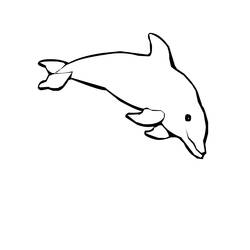 ぬりえページ: イルカ (動物) #5161 - 無料の印刷可能なぬりえページ