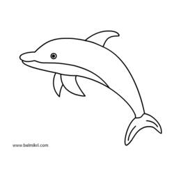 ぬりえページ: イルカ (動物) #5162 - 無料の印刷可能なぬりえページ