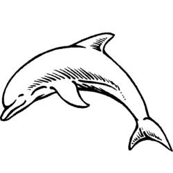 ぬりえページ: イルカ (動物) #5165 - 無料の印刷可能なぬりえページ