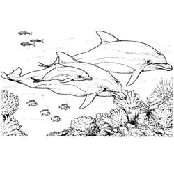ぬりえページ: イルカ (動物) #5195 - 無料の印刷可能なぬりえページ