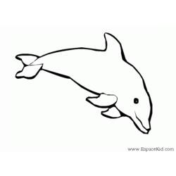 ぬりえページ: イルカ (動物) #5209 - 無料の印刷可能なぬりえページ