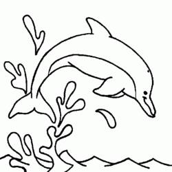 ぬりえページ: イルカ (動物) #5212 - 無料の印刷可能なぬりえページ