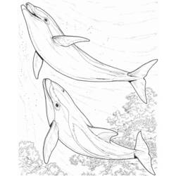 ぬりえページ: イルカ (動物) #5216 - 無料の印刷可能なぬりえページ