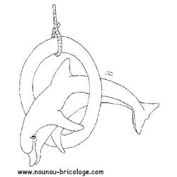ぬりえページ: イルカ (動物) #5233 - 無料の印刷可能なぬりえページ