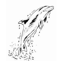 ぬりえページ: イルカ (動物) #5246 - 無料の印刷可能なぬりえページ