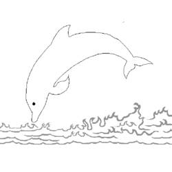 ぬりえページ: イルカ (動物) #5278 - 無料の印刷可能なぬりえページ