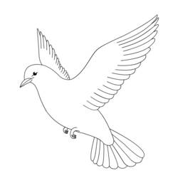 ぬりえページ: 鳩 (動物) #3895 - 無料の印刷可能なぬりえページ