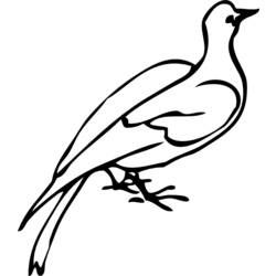 ぬりえページ: 鳩 (動物) #3910 - 無料の印刷可能なぬりえページ