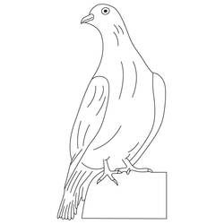 ぬりえページ: 鳩 (動物) #3929 - 無料の印刷可能なぬりえページ