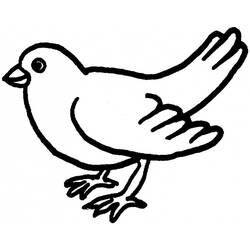 ぬりえページ: 鳩 (動物) #3959 - 無料の印刷可能なぬりえページ