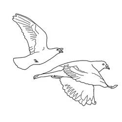 ぬりえページ: 鳩 (動物) #3965 - 無料の印刷可能なぬりえページ