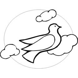 ぬりえページ: 鳩 (動物) #3972 - 無料の印刷可能なぬりえページ