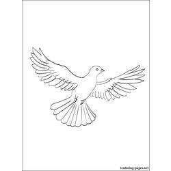 ぬりえページ: 鳩 (動物) #4008 - 無料の印刷可能なぬりえページ
