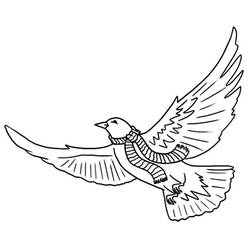 ぬりえページ: 鳩 (動物) #4010 - 無料の印刷可能なぬりえページ