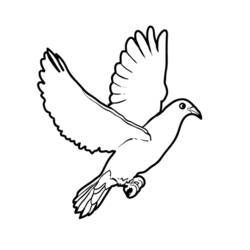 ぬりえページ: 鳩 (動物) #4011 - 無料の印刷可能なぬりえページ
