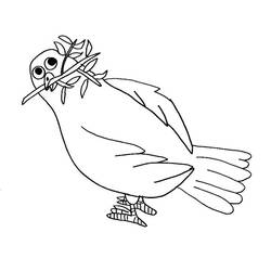 ぬりえページ: 鳩 (動物) #4030 - 無料の印刷可能なぬりえページ