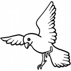 ぬりえページ: 鳩 (動物) #4031 - 無料の印刷可能なぬりえページ