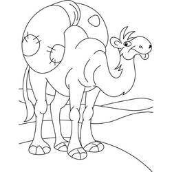 ぬりえページ: ヒトコブラクダ (動物) #5995 - 無料の印刷可能なぬりえページ