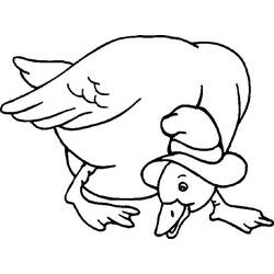 ぬりえページ: アヒル (動物) #1539 - 無料の印刷可能なぬりえページ