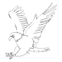 ぬりえページ: 鷲 (動物) #276 - 無料の印刷可能なぬりえページ