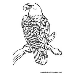ぬりえページ: 鷲 (動物) #279 - 無料の印刷可能なぬりえページ
