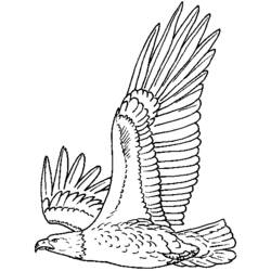 ぬりえページ: 鷲 (動物) #280 - 無料の印刷可能なぬりえページ